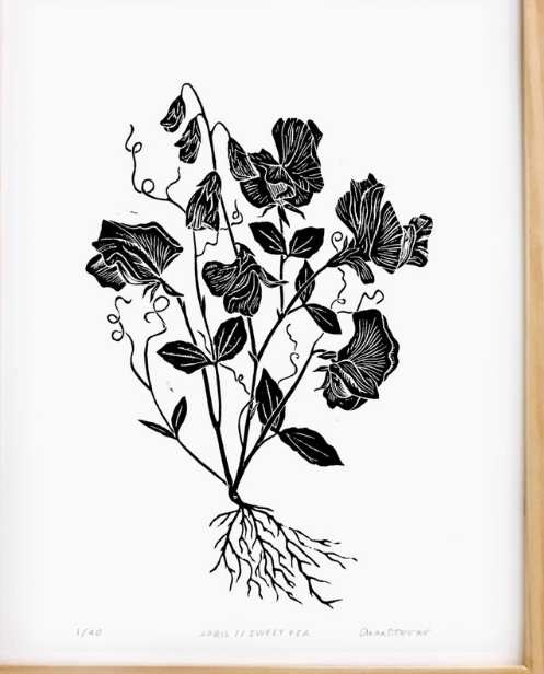 Sweet Pea by Anna Tovar (TX) | 18x24