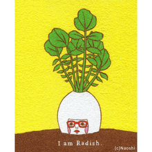 Load image into Gallery viewer, I Am Radish | Naoshi (CA)