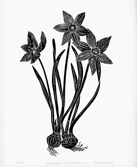 Paperwhite by Anna Tovar (TX) | 18x24
