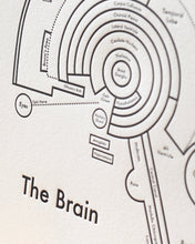 Load image into Gallery viewer, The Brain | Archie’s Press (OR)