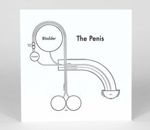 Load image into Gallery viewer, The Penis | Archie’s Press (NY)