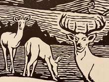 Load image into Gallery viewer, Deer | Hatch Show Print (TN)