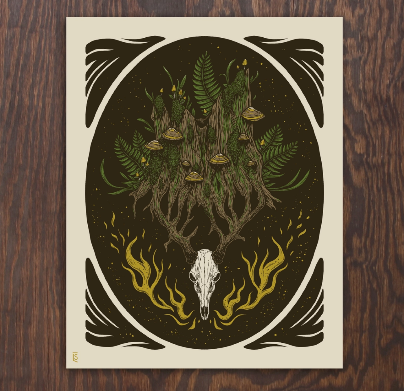 Old Growth | Logan Schmitt (WV)