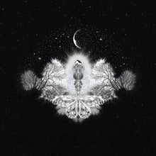 Load image into Gallery viewer, Someday We Will Grow Wings | Melissa Moss (NC)