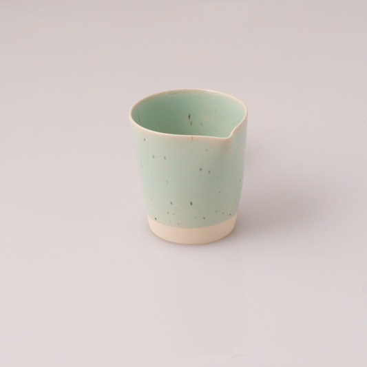 Mint Porcelain Sake Set (Japan)