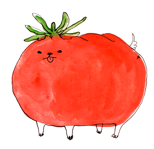 Tomato Dog Art Print | Rebekah Evans (NC)