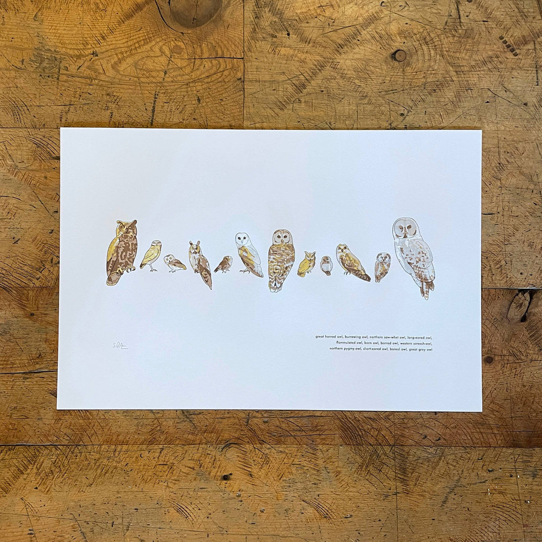 A Few Owls Letterpress Print | Susan Porteous (OR)