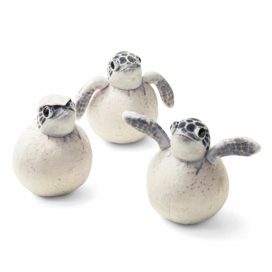 Baby Sea Turtle Plush Pouch | You + More (Japan)