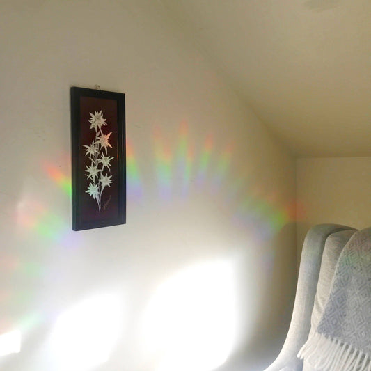 Solar System Suncatcher | Fell (UT)