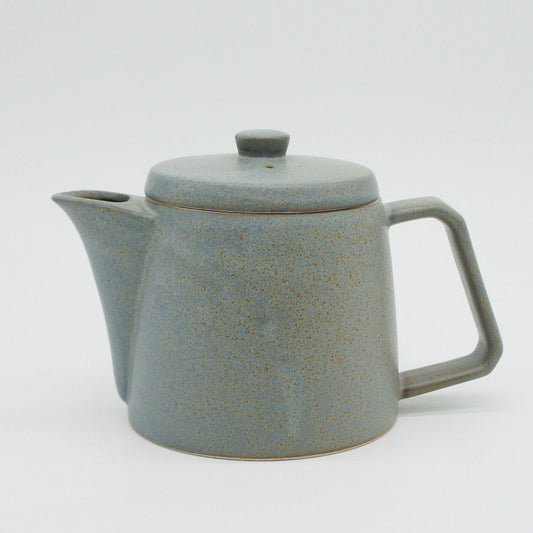 Ancient Pottery Mino Ware Teapot | Gray | Chips Inc. (Japan)