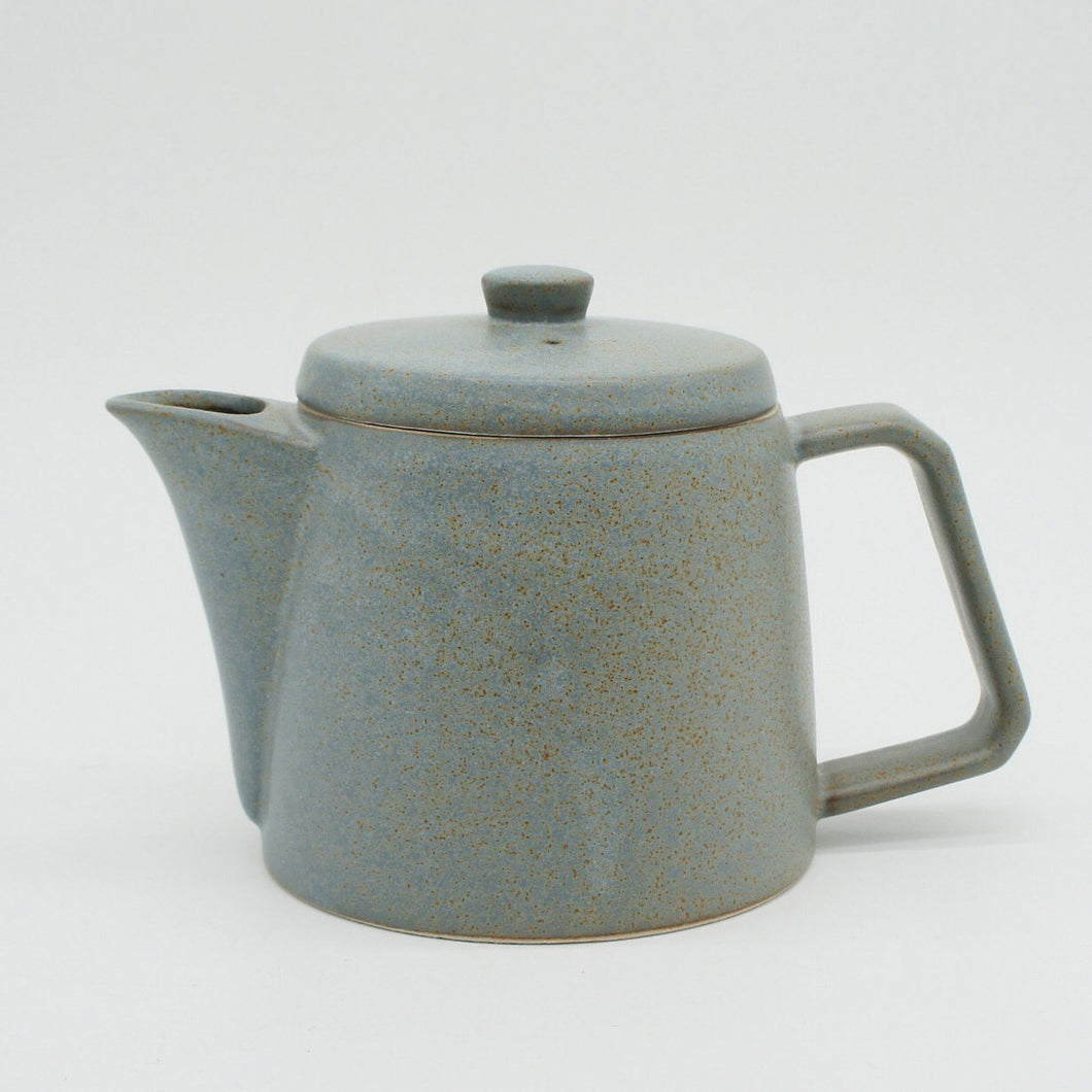 Ancient Pottery Mino Ware Teapot | Gray | Chips Inc. (Japan)