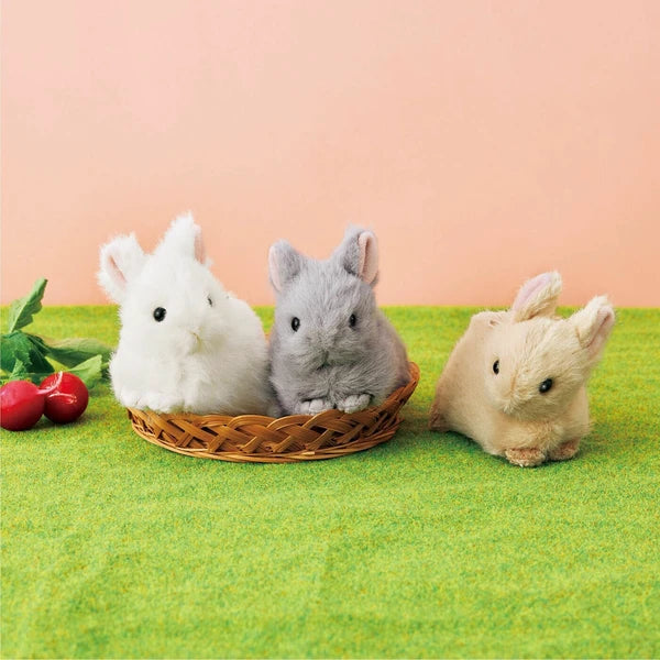 Holland Dwarf Bunny Plush Pouch | YOU+MORE! (Japan)