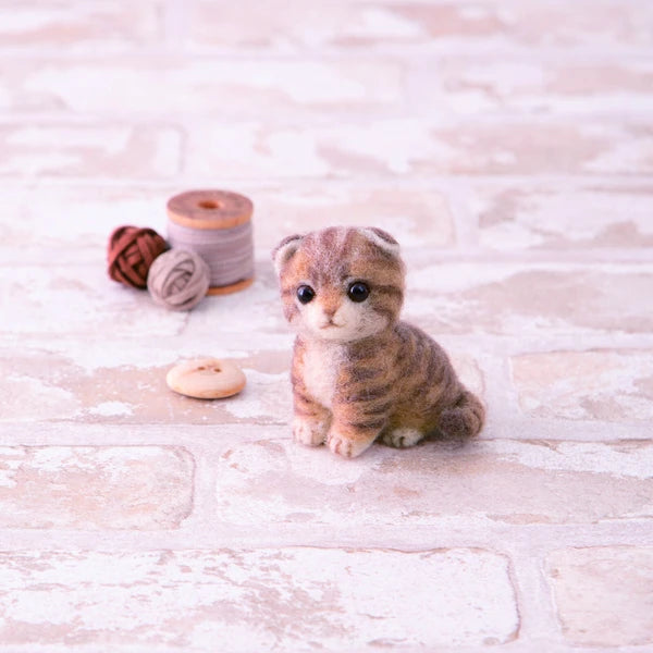 Needle Felting Kit | Scottish Fold Kitten | Hamanaka (Japan)