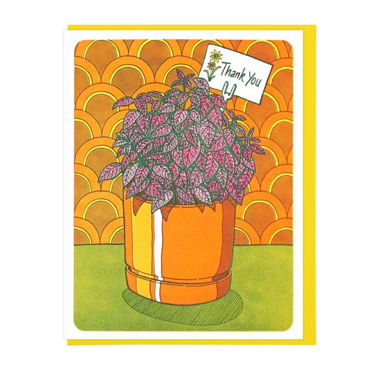 Polka Dot Plant Thank You | Lucky Horse Press (NJ)