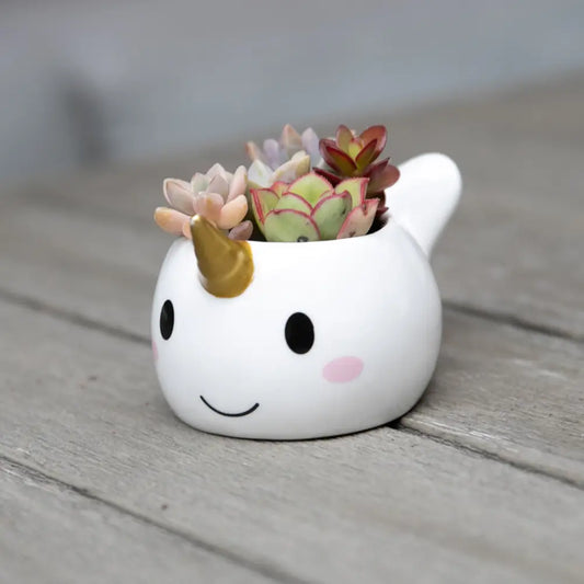 Narwhal Planter Pot