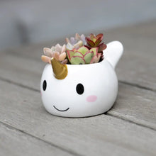 Load image into Gallery viewer, Narwhal Planter Pot
