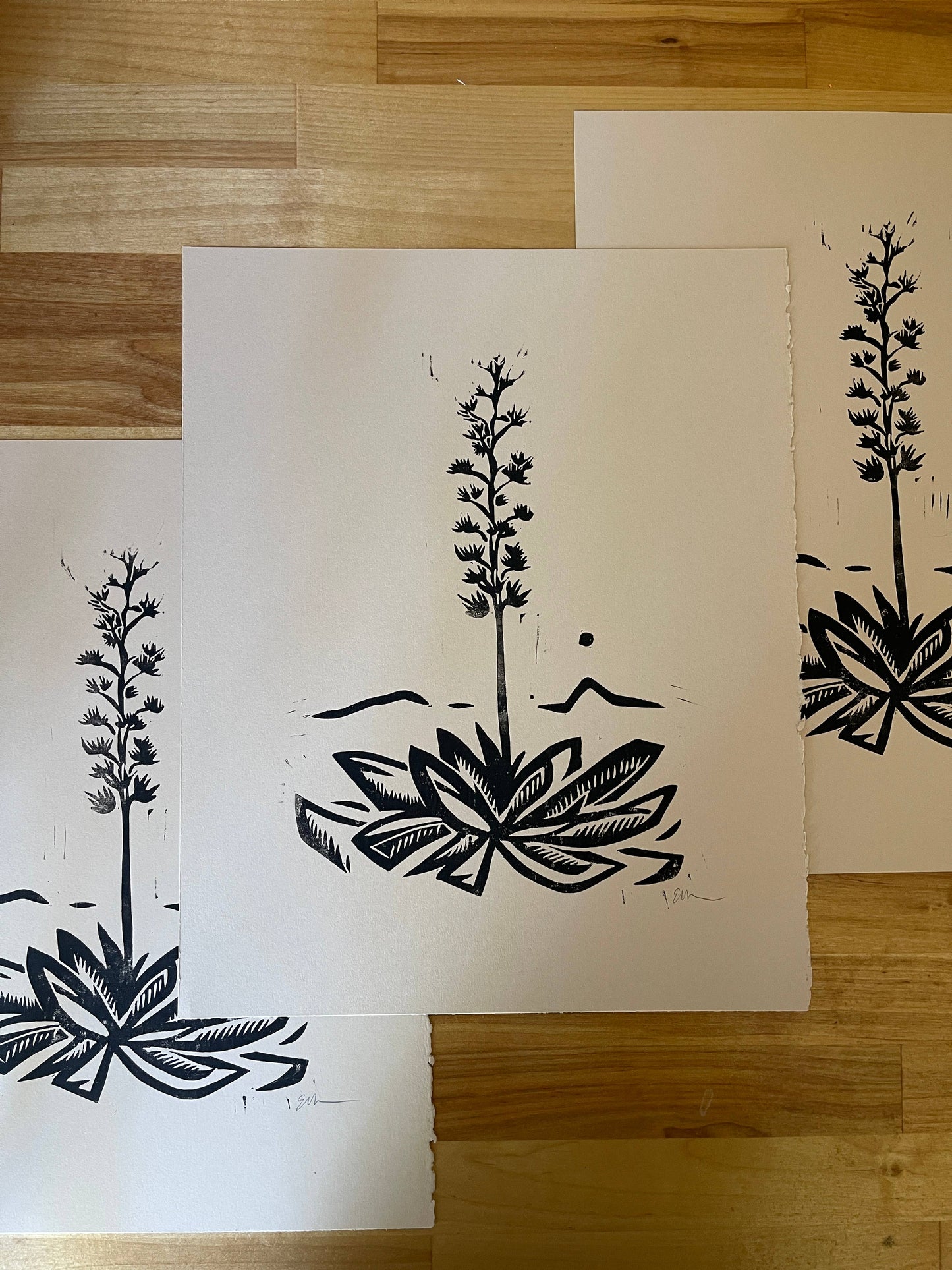Agave Linocut Print | Ellen Orchard (TX)
