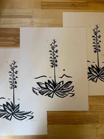 Agave Linocut Print | Ellen Orchard (TX)