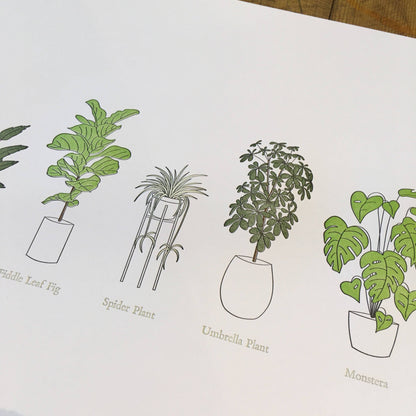 A Few Houseplants Letterpress Print | Susan Porteous (OR)