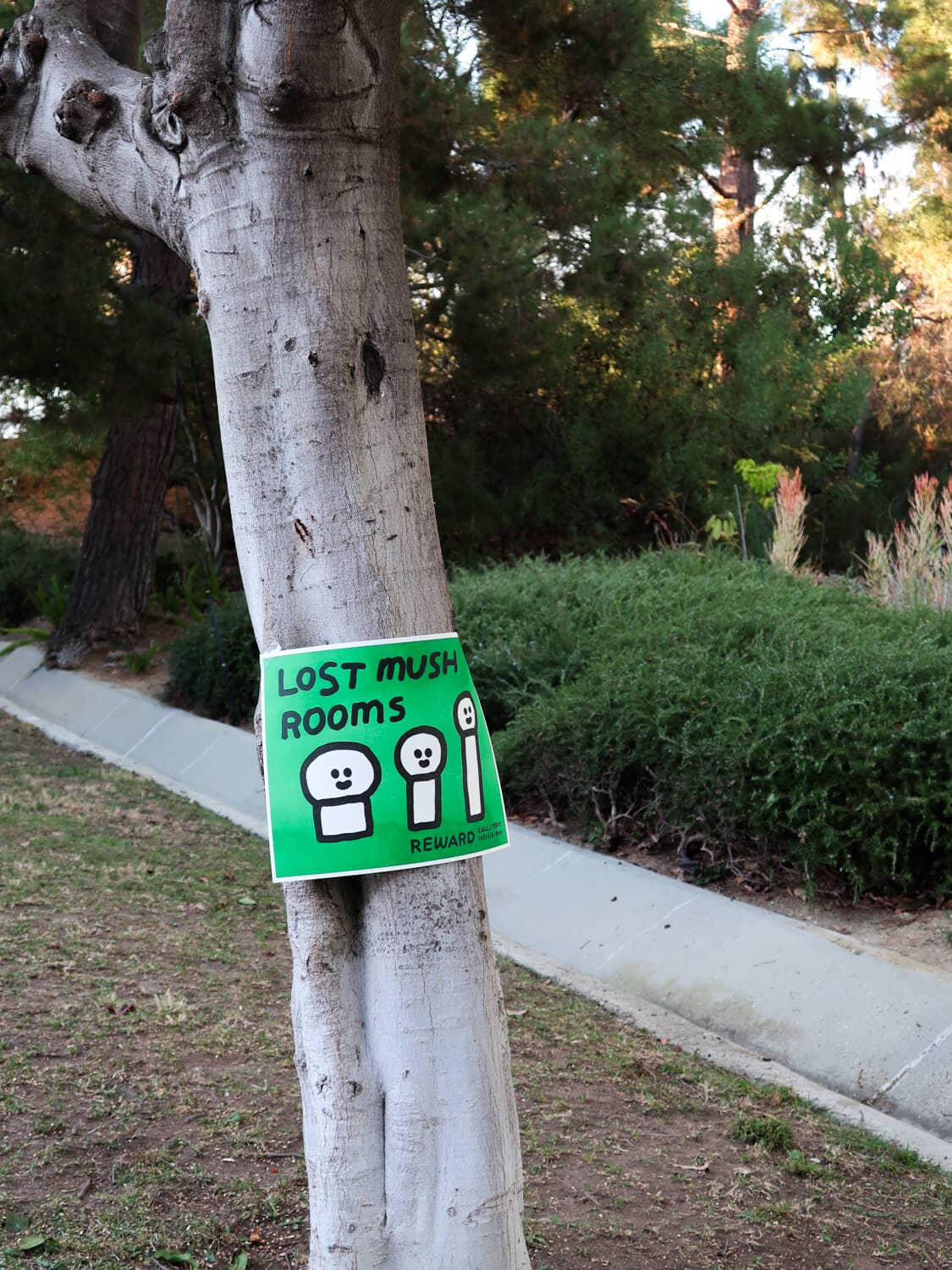 Lost Mushrooms Risograph Print | Oitama (CA)