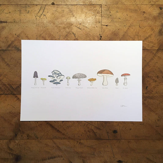 A Few Mushrooms Letterpress Print | Susan Porteous (OR)