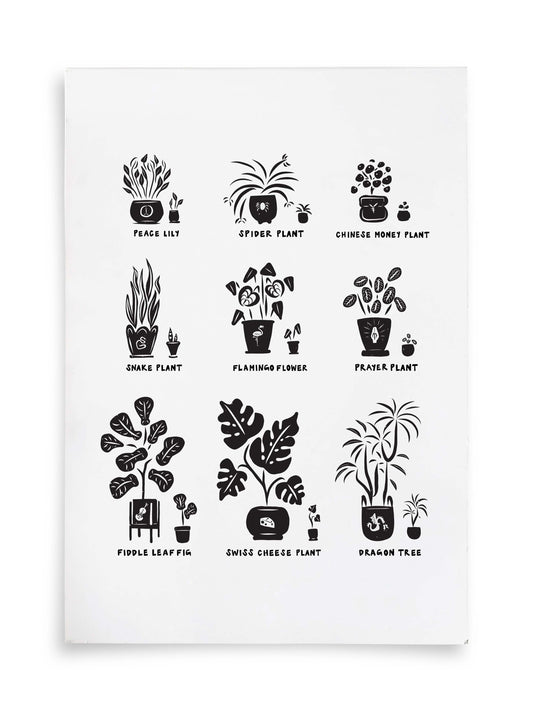 Baby Plants Illustrated Art Print | Ellen Orchard (TX)