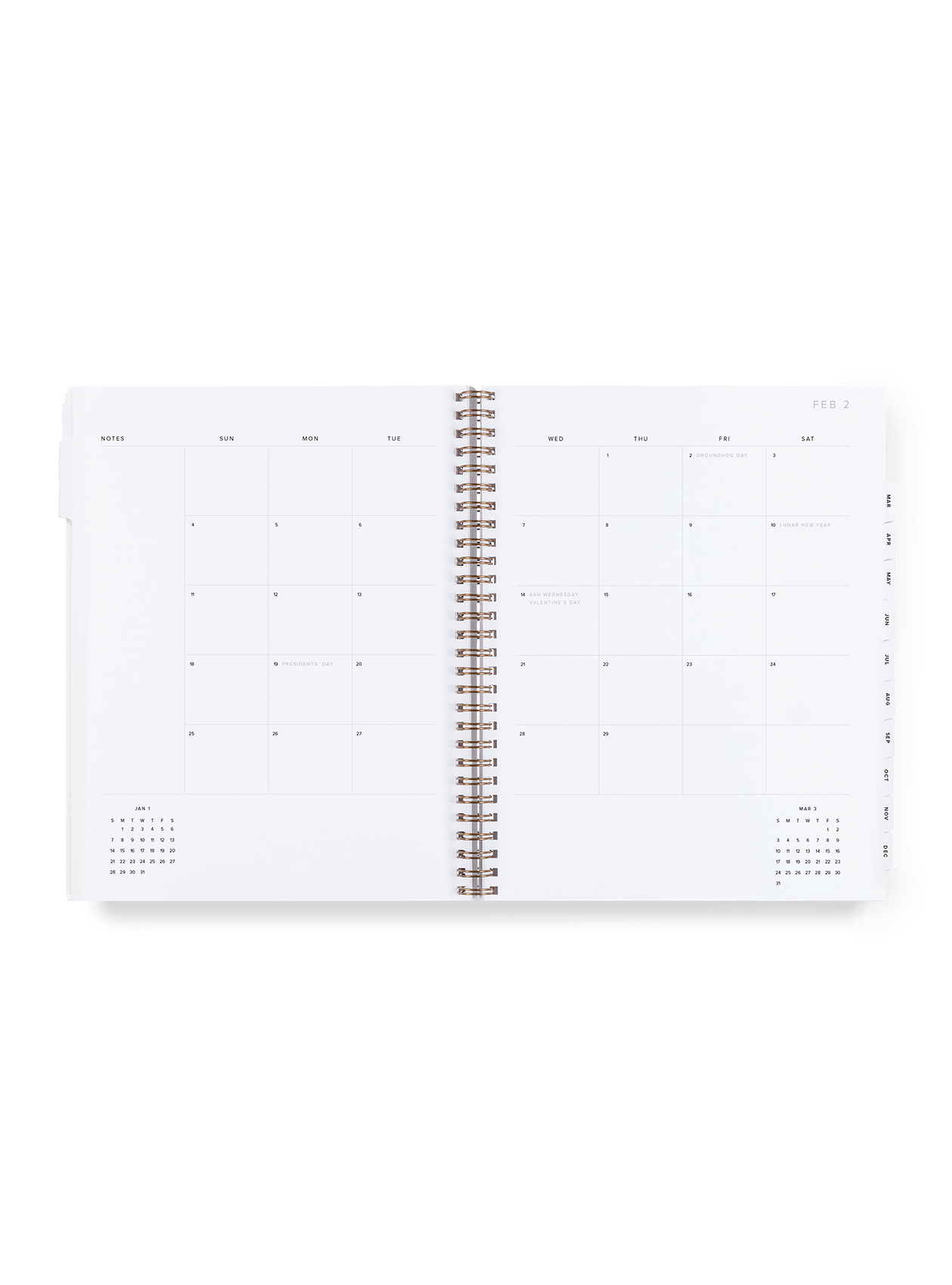2025 Year Task Planner | Appointed (DC)