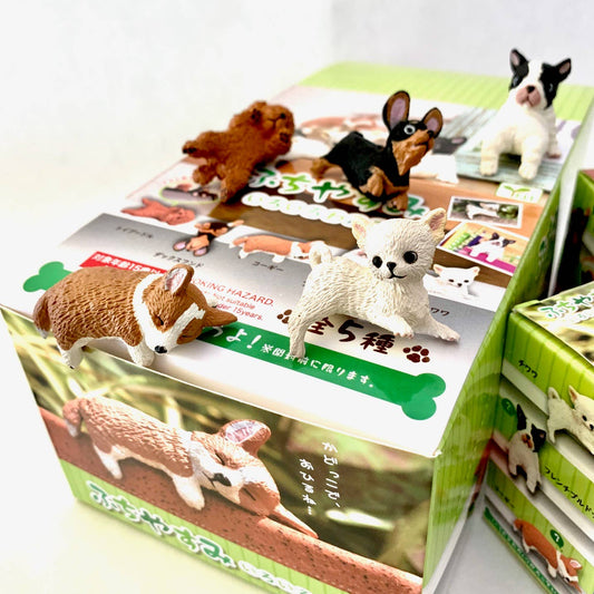 Playful Hanging Dogs Blind Box | BCmini (Japan)