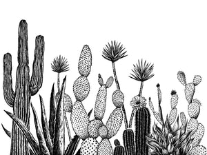 Growing Cacti Art Print | Kaari Selven (OR)