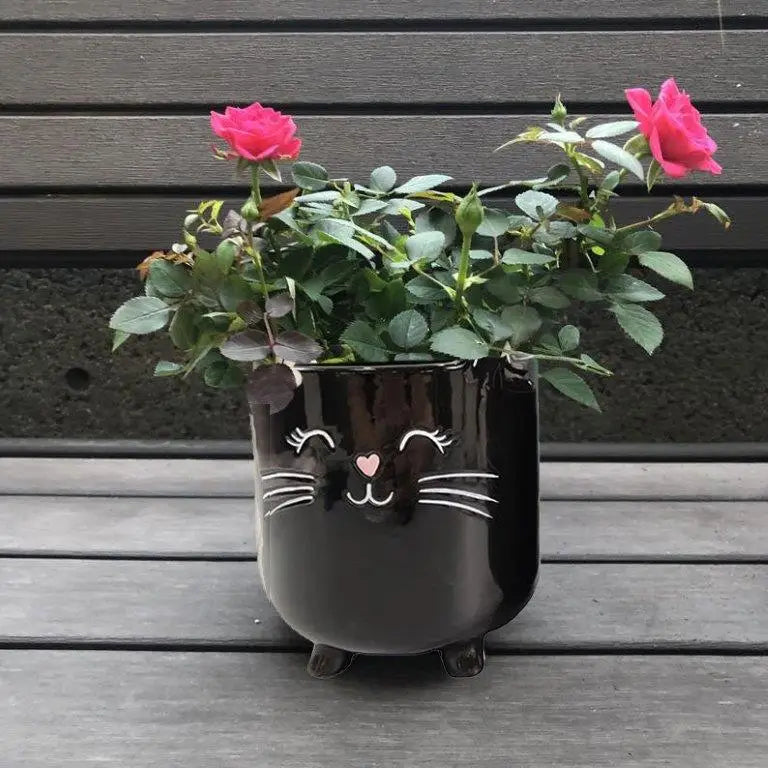 Black Cat Planter | SparkDazzle (CA)