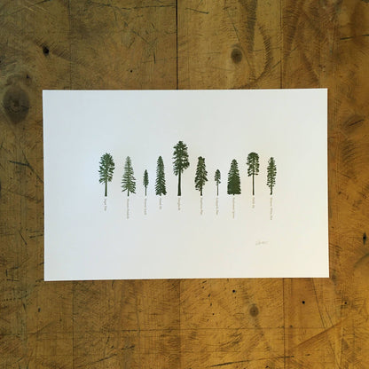 A Few Conifers Letterpress Print | Susan Porteous (OR)