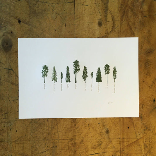 A Few Conifers Letterpress Print | Susan Porteous (OR)