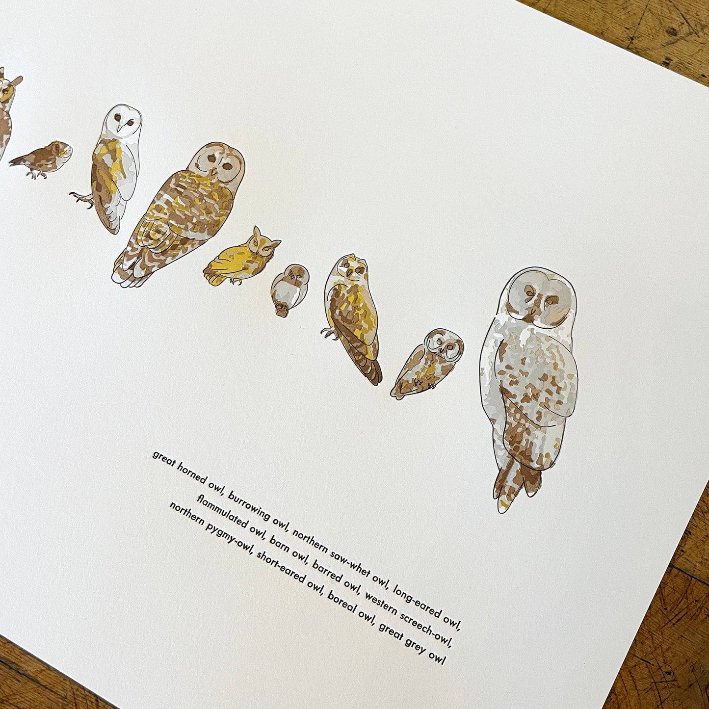A Few Owls Letterpress Print | Susan Porteous (OR)