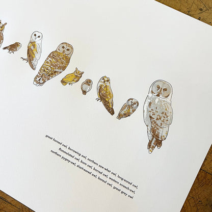 A Few Owls Letterpress Print | Susan Porteous (OR)