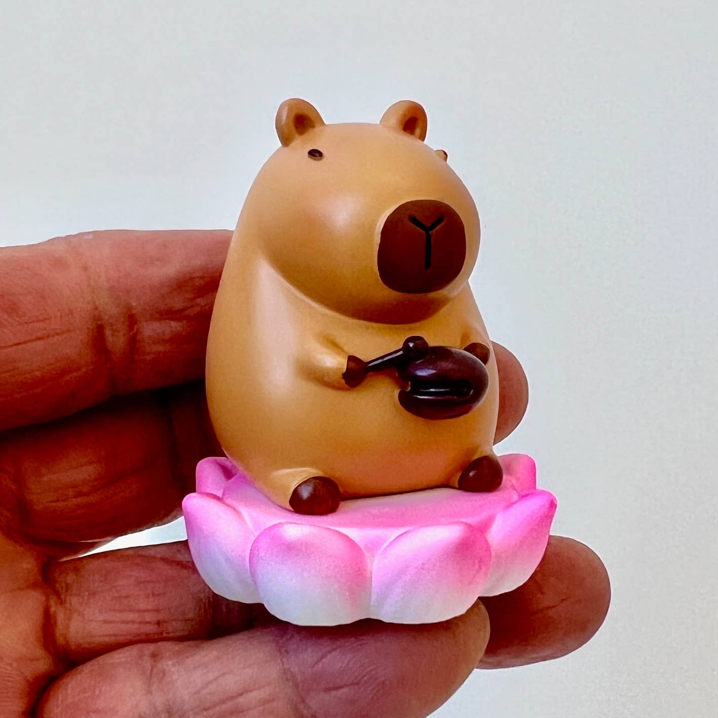 Capybara Life Blind Box