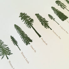 Load image into Gallery viewer, A Few Conifers Letterpress Print | Susan Porteous (OR)
