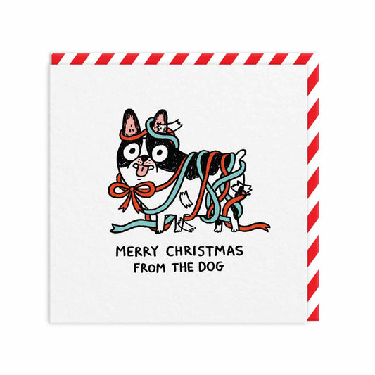 Merry Christmas From The Dog Christmas Card | Gemma Correll (UK)