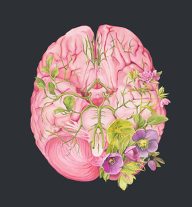 Floral Brain II Anatomy Art Print | Trisha Thompson Adams (OK)