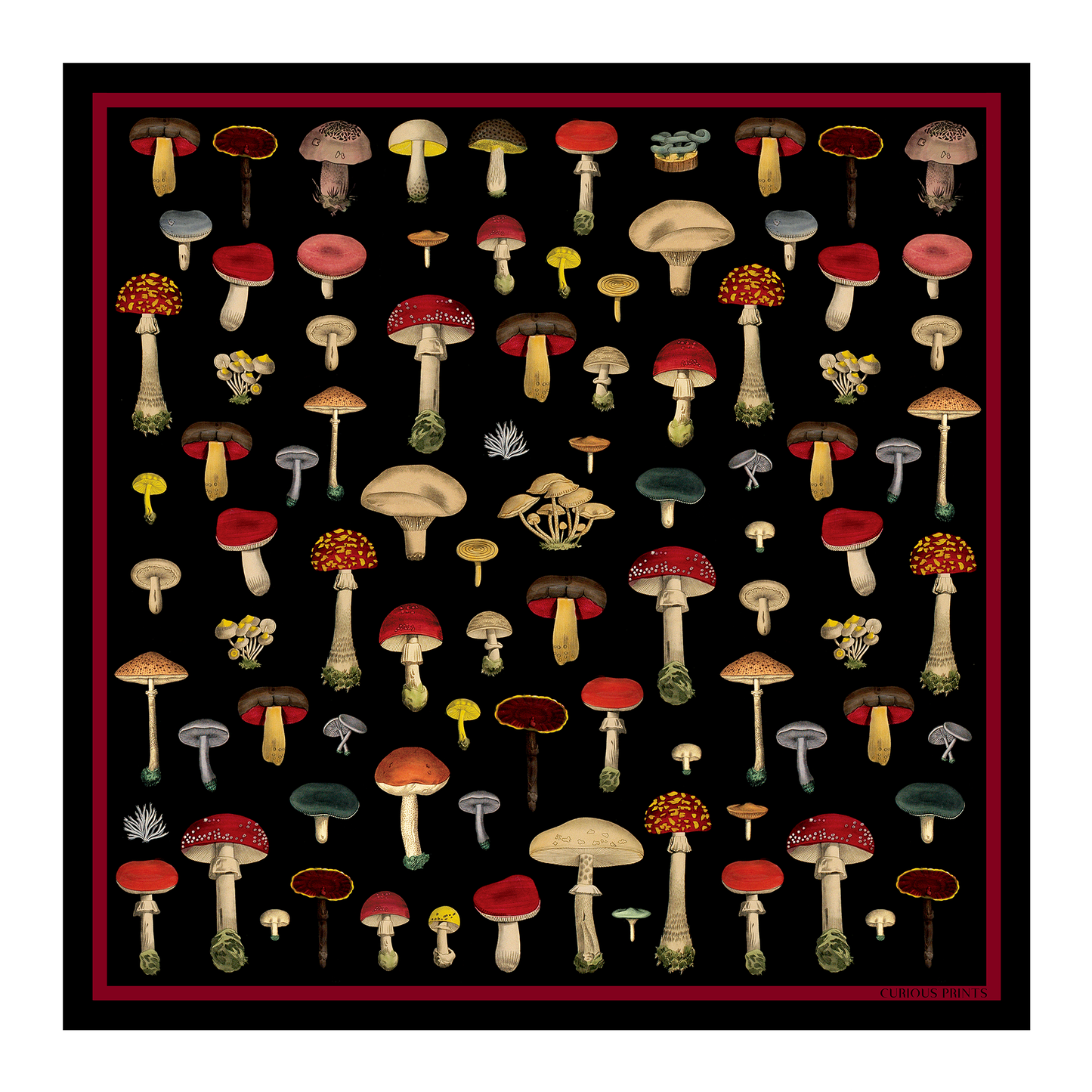 Silk Black Mushroom Scarf | Curious Prints (TX)