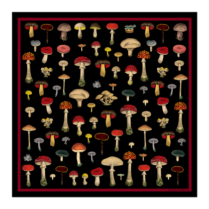 Silk Black Mushroom Scarf | Curious Prints (TX)