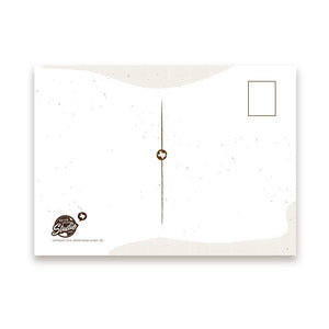 Cacti & Succulents of Texas Postcard | Bryan Spear Studio (TX)