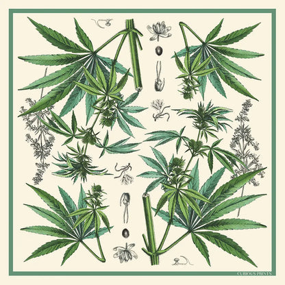 Silk Cannabis Scarf | Curious Prints (TX)