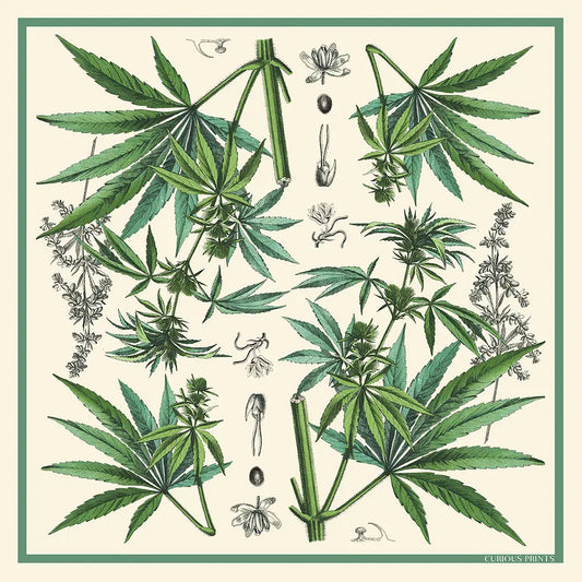 Silk Cannabis Scarf | Curious Prints (TX)