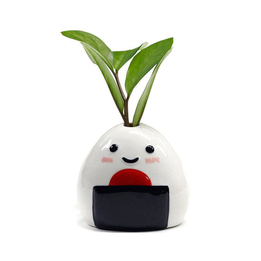 Onigiri Ceramic Mini Vase | Umeboshi Smile (Japan)