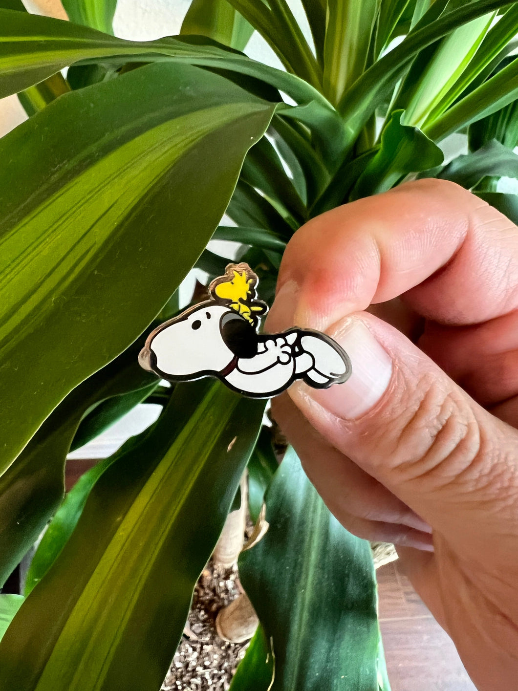 Snoopy & Woodstock | Hype Pins (WA)
