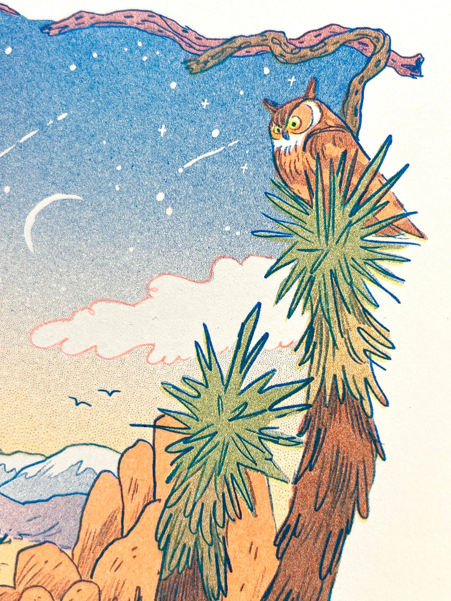 Desert Dreams Risogrpah Print | Natalie Andrewson (CA)