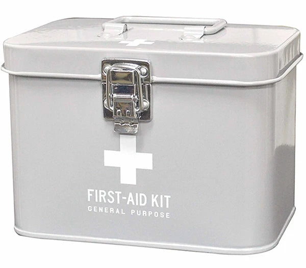 Small Steel Organizer Box | Grey | KI Japan (Japan)