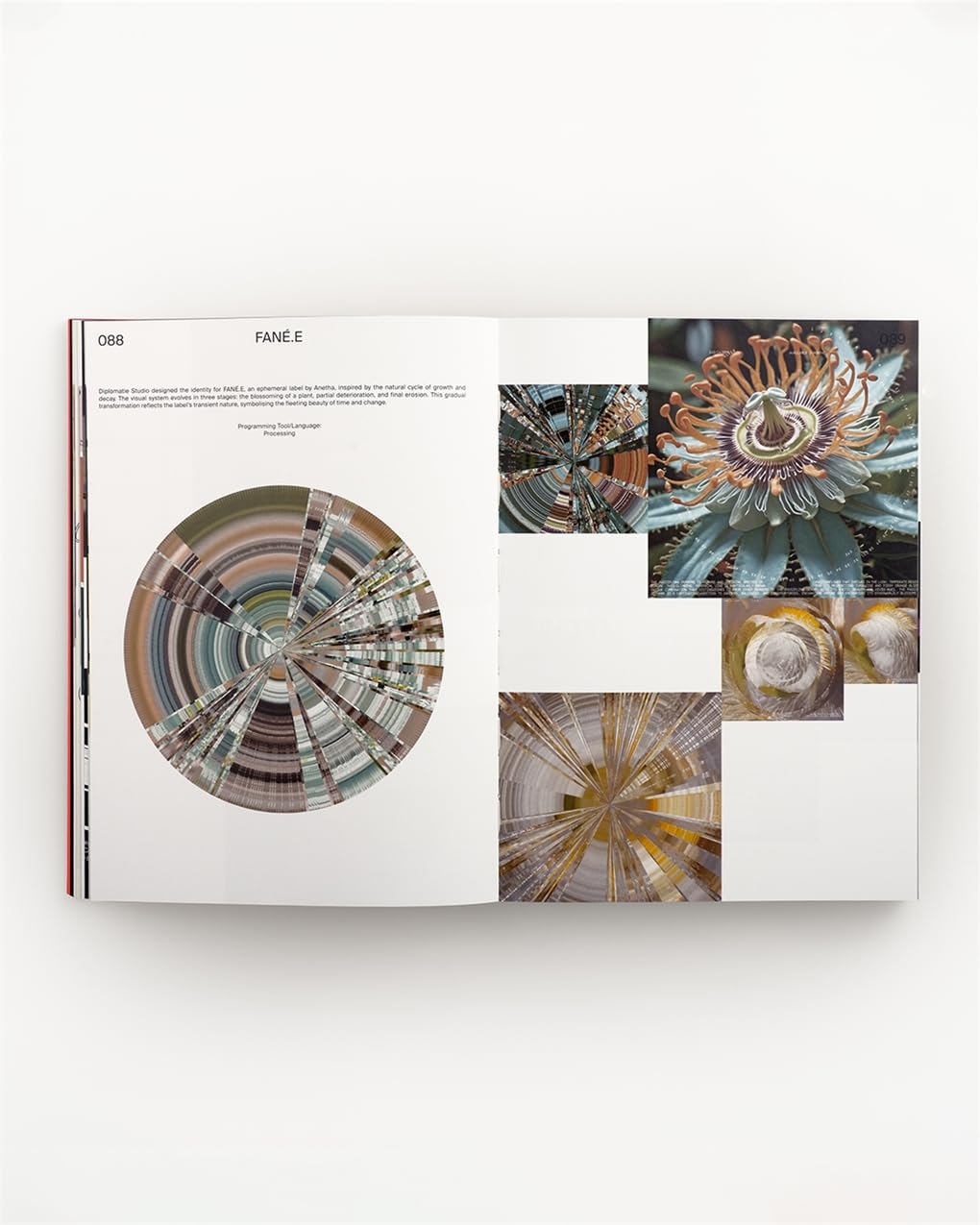 Code Crafted: Generative Design in Branding