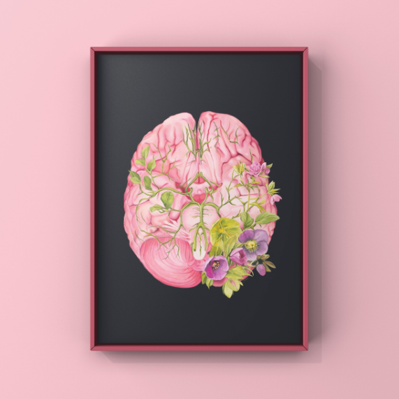 Floral Brain II Anatomy Art Print | Trisha Thompson Adams (OK)