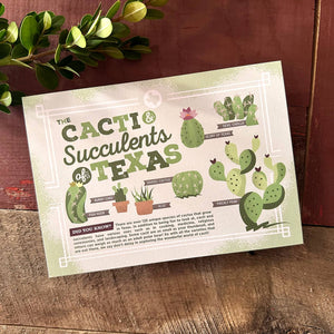 Cacti & Succulents of Texas Postcard | Bryan Spear Studio (TX)